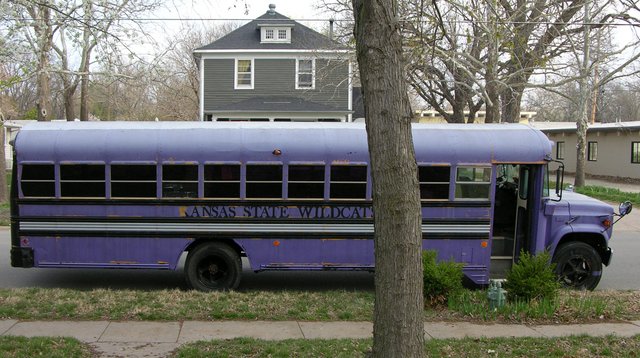 Schoolbus covered in purple latex house paint