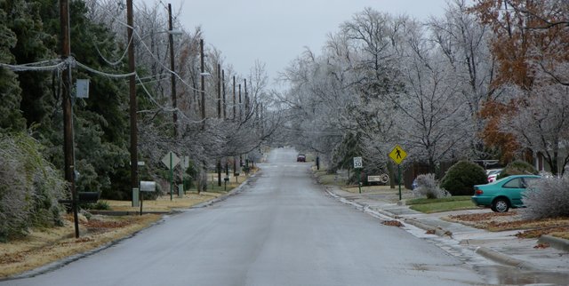 Icy trees on my street in North Newton