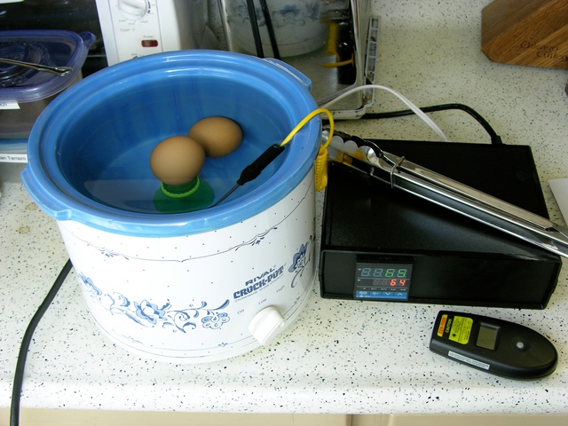 PID-controlled crockpot cooking two eggs