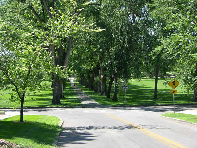 Colorado State University Oval: approaching from the north