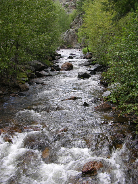 Colorado Road 43: Upper North Fork national park picnic ground stream