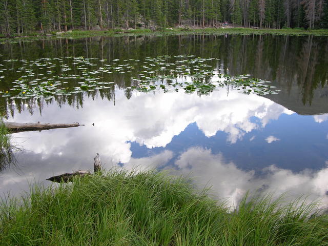 Rocky Mountain National Park: reflections on Nymph Lake