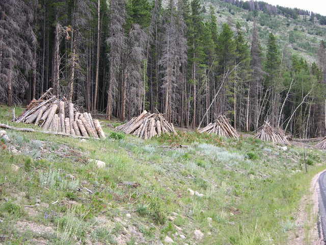 Rocky Mountain National Park: log teepees