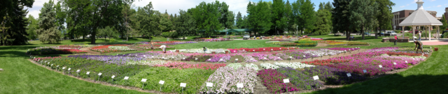 Colorado State University Annual Flower Trial Garden, south edge, panorama