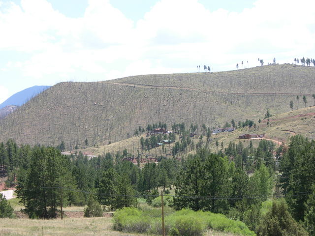 North Fork, Colorado burn area