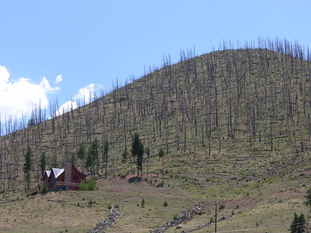 North Fork, Colorado burn area