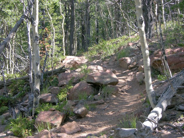 Trail to Raspberry Mountain, Colorado