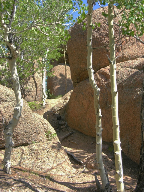 Trail near the top of Raspberry Mountain, Colorado