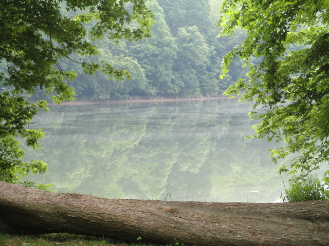 Four Locks Area, Chesapeake and Ohio Canal National Historic Park