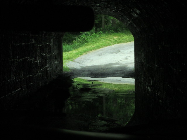 Roadway under canal in Four Locks Area, Chesapeake and Ohio Canal National Historic Park