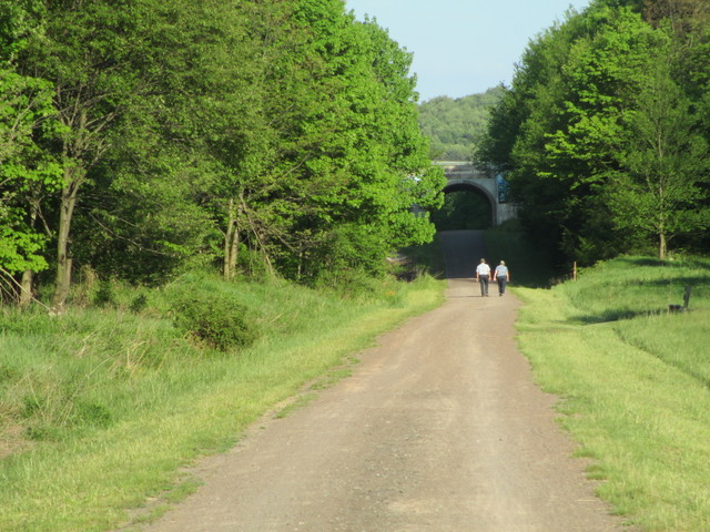 Eastern continental divide on the Allegheny Passage